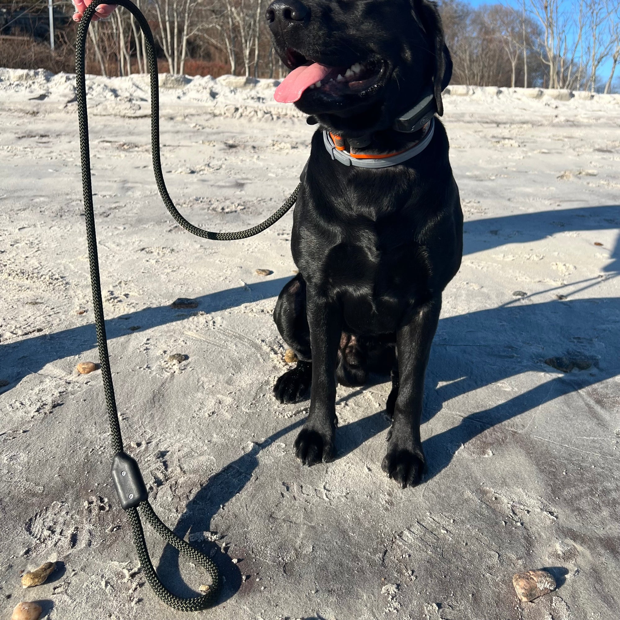 Premium Dog Leash